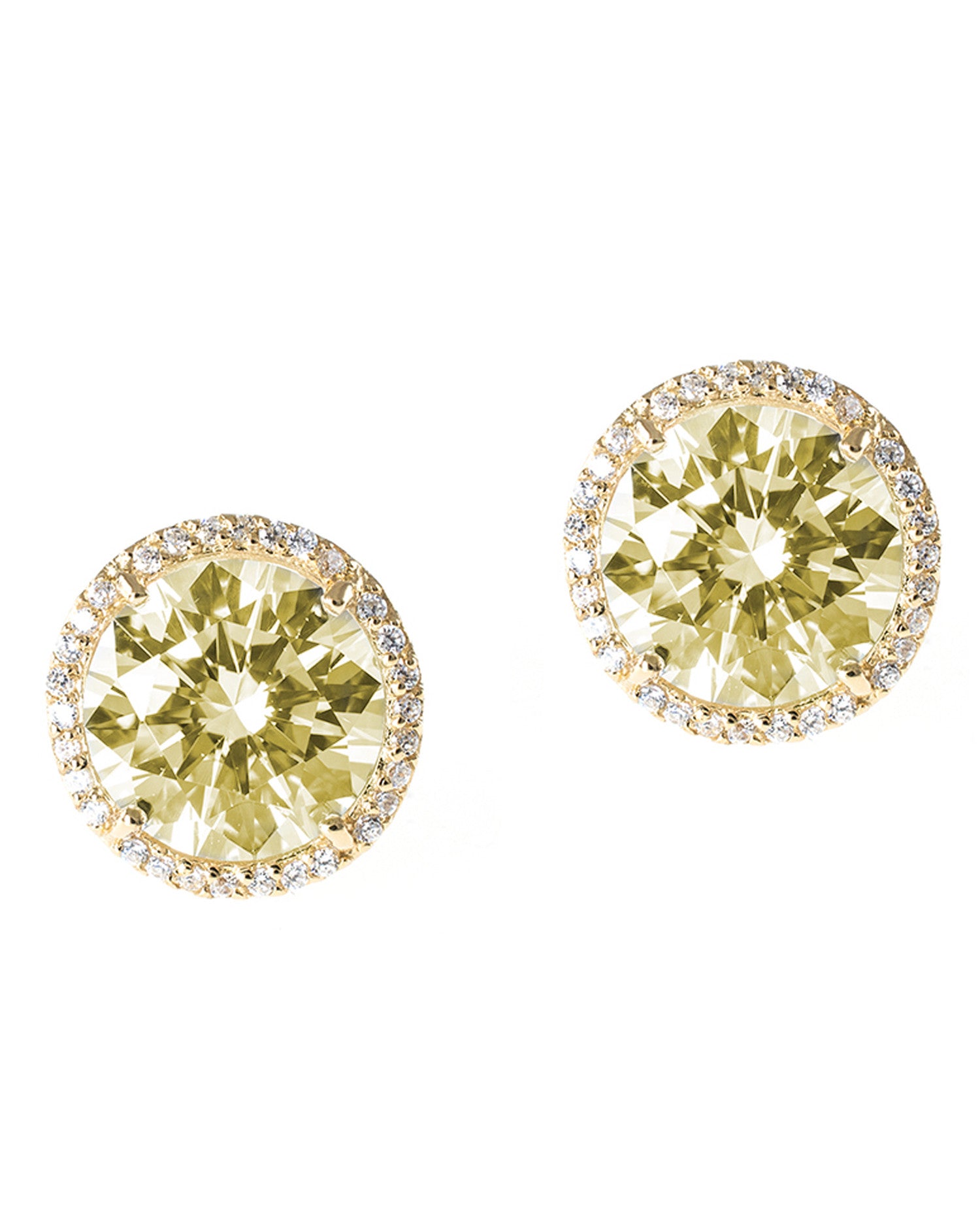 Vibrant Halo Stud Earrings